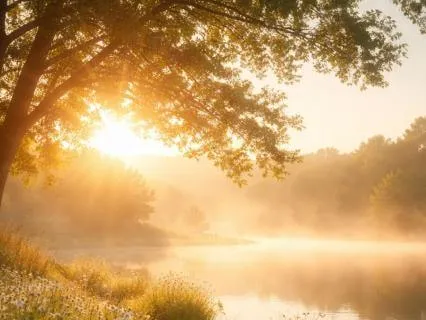 A Powerful Morning Prayer For Clarity And Courage