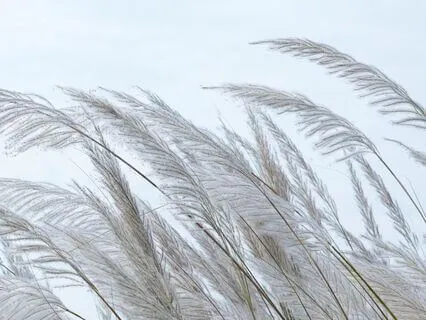 A Powerful Shift Is Unfolding For Me Today