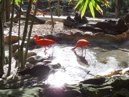 A Practical Guide To Calming Your Mind