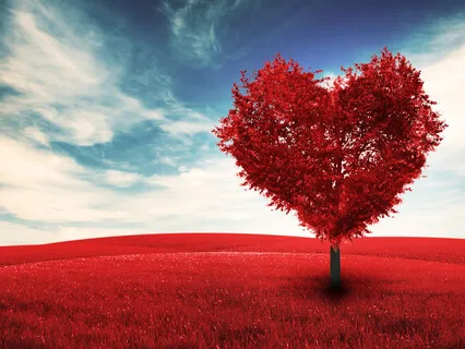 Practical Guide To Gratitude During Coronavirus & Other Uncertainties