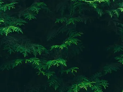 A Practice For Inner Peace