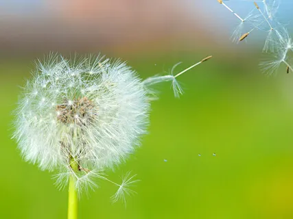 A Practice For Letting Go