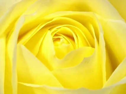 A Practice For Moving Through Procrastination