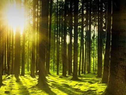 A Practice For Restoring Safety While The World Is On Fire