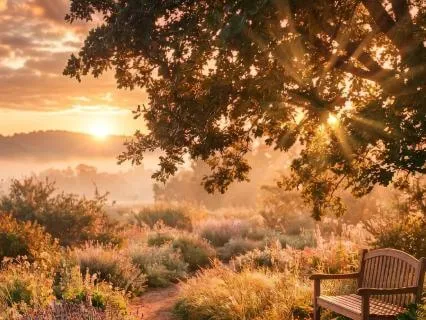 A Practice For Self-Compassion: Finding Grace In The Mess