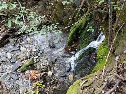 A Practice In The Art Of Restoring Balance