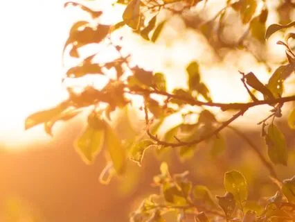 Come Back To Your Body When You Feel Numb