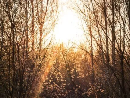 Feel Safe, Supported & Held In Your Body