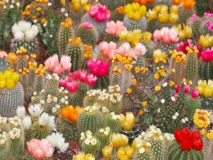 A Prayer For Abundance