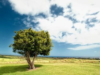 A Prayer For Grief And Loss