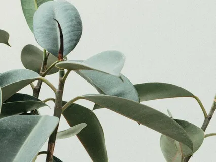 A Prayer For Imposter Syndrome