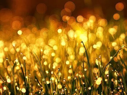 A Prayer For Inviting In The Divine