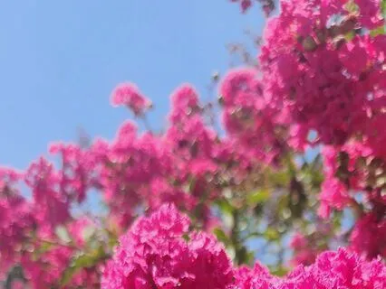 A Prayer For Limiting Beliefs.