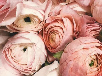 A Prayer For Our Children