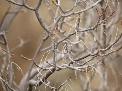 A Prayer For Overcoming Depression