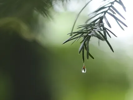 A Prayer For Rain In A Time Of Drought