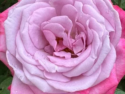 A Prayer For Removing Blocks