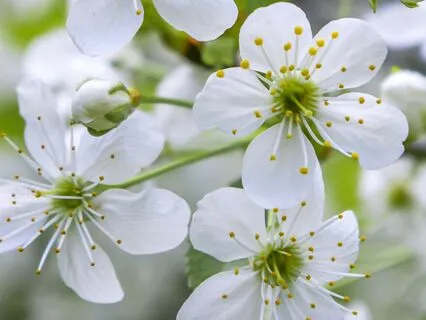 A Prayer For Self-Forgiveness