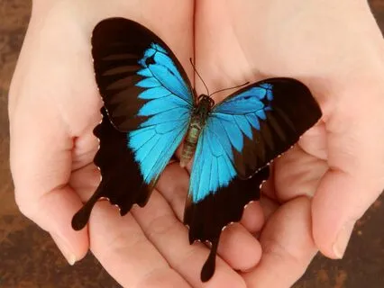 A Prayer For Trust And Healing