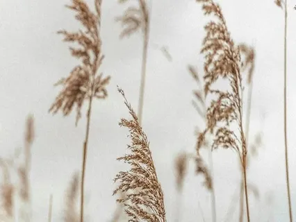 A Prayer For Turbulence