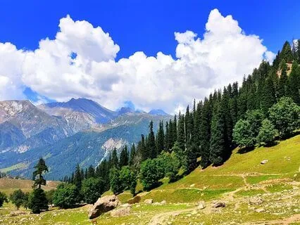 A Prayer Of Surrender To The Universe