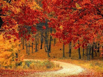 A Prayer Of Thanksgiving: Grateful For God’s Blessings