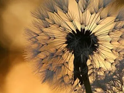 A Prayer To Empower Belief