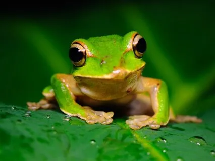 A Prayer To End Procrastination