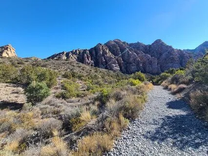 A Prayer To Surrender