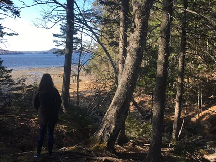 A Prayer When Feeling Fragmented