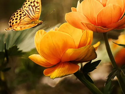 A Presence Friendship