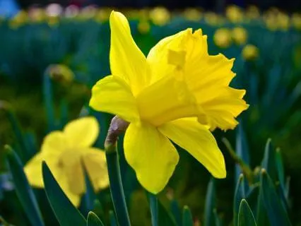 A Problem Is Just A Disagreement With Reality - March 29