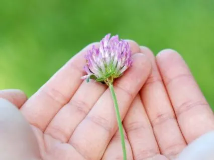 A Psalm For Those Living With CVID