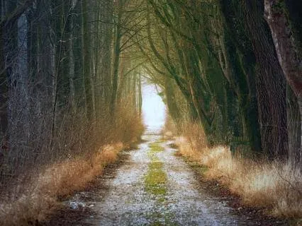 A Psalm For When Life Feels Unbearable