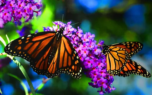 A Psalm Of Confidence