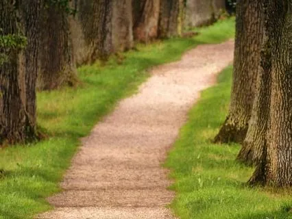 A Psalm Of Restored Rhythm