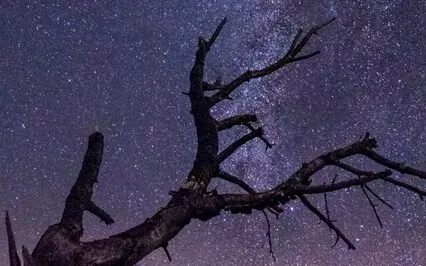 A Pure Sound Bath For Deep Sleep With 528Hz Frequency