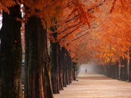 A Purposeful Pause To Support Action And Change