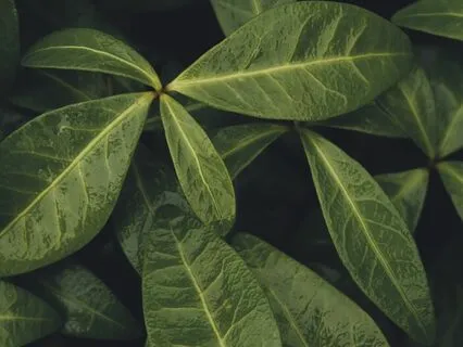 A Quick Breath Reset