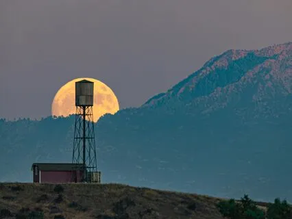 A Quick Blissful Moment: An Announcement