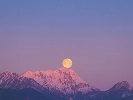 A Quick Blissful Moment: Awake In Nature