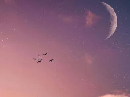 A Quick Blissful Moment: Peaceful Memories