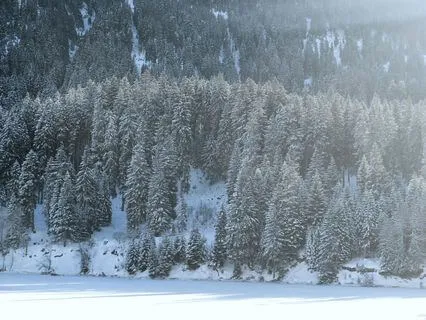 A Quick Blissful Moment: Celebration