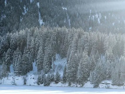 A Quick Blissful Moment: Gentle Winter Contemplation