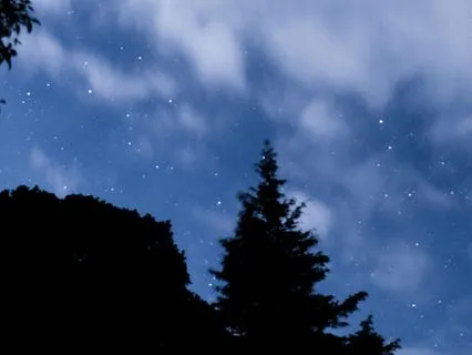 A Quick Blissful Moment: Peaceful Shimmer