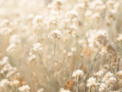 A Quick Centering Practice