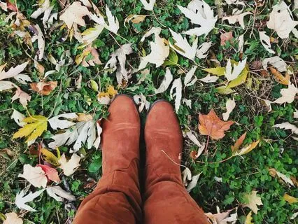 A Quick Grounding Practice: 5 Senses Reset