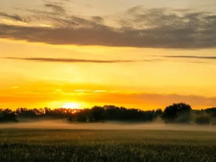 A Quick Morning Boost For Inner Joy