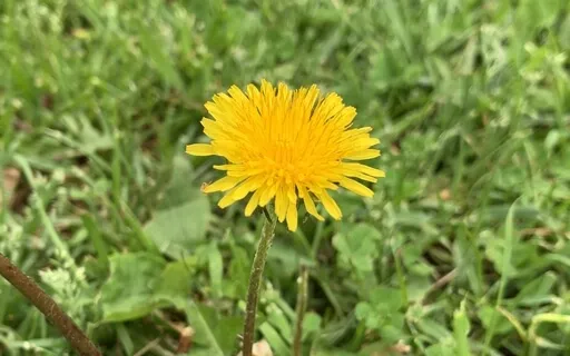 A Quick Pause To Check-In