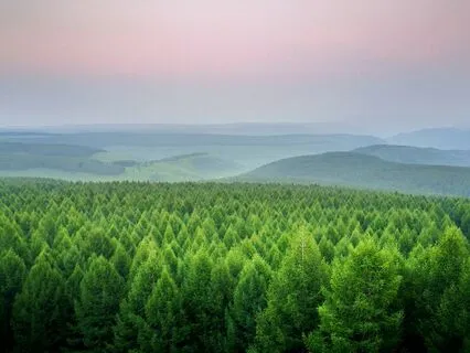 A Quick Pause To Ground And Clear Frustration